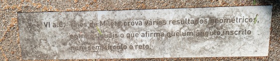 Image-20260729_112155.jpg